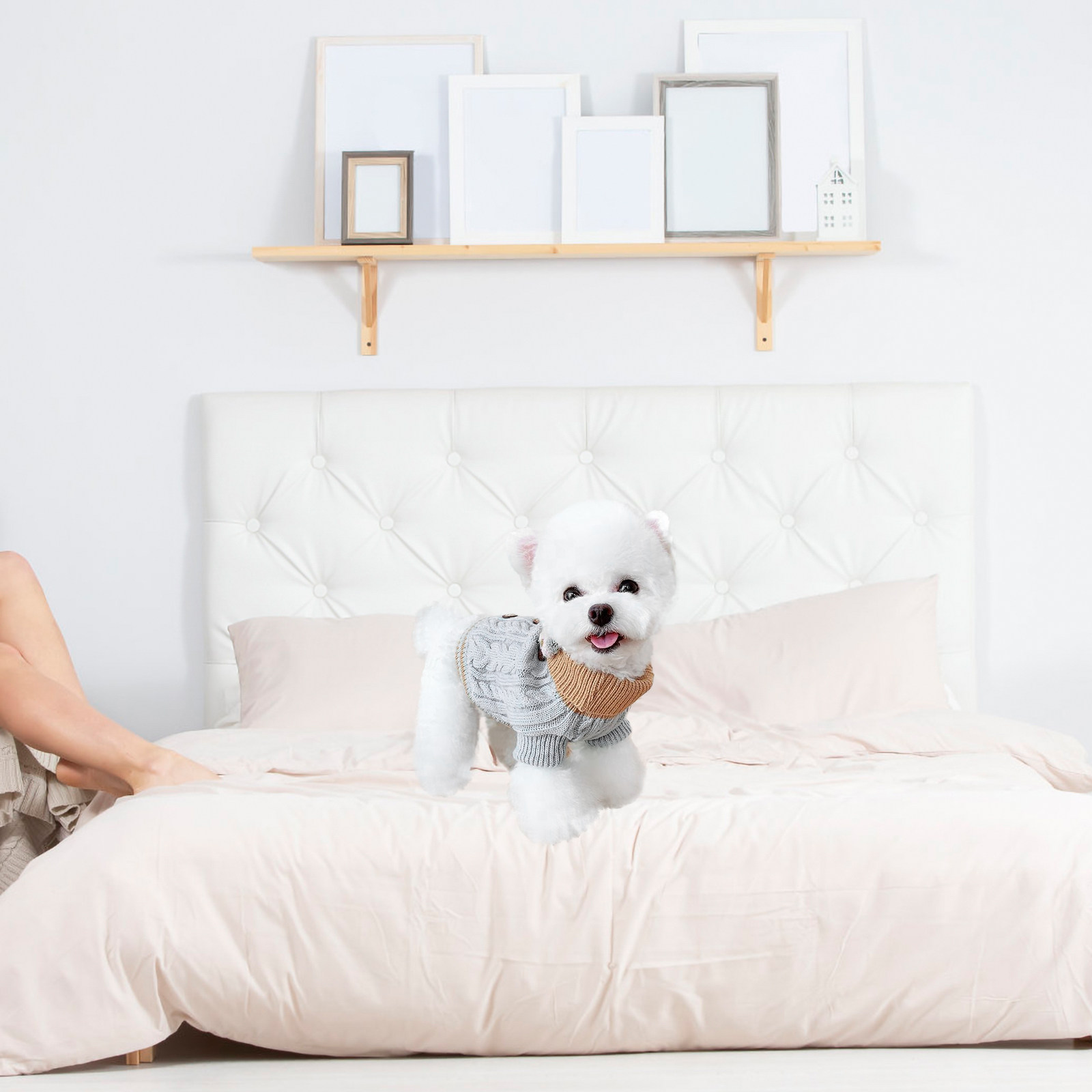 Winter Clothing Gift Ideas - 1 pièce, pull pour animaux de